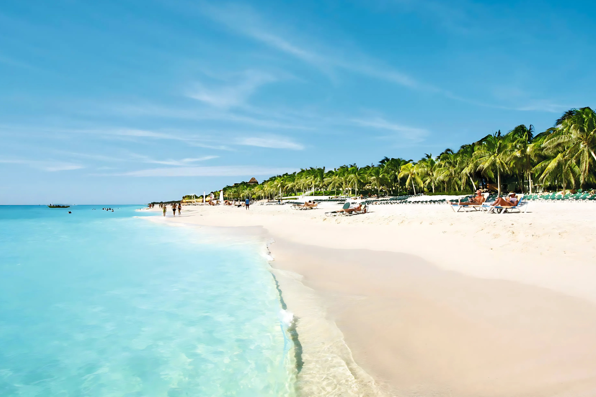 A beach with a lot of people on it and palm trees in the background.