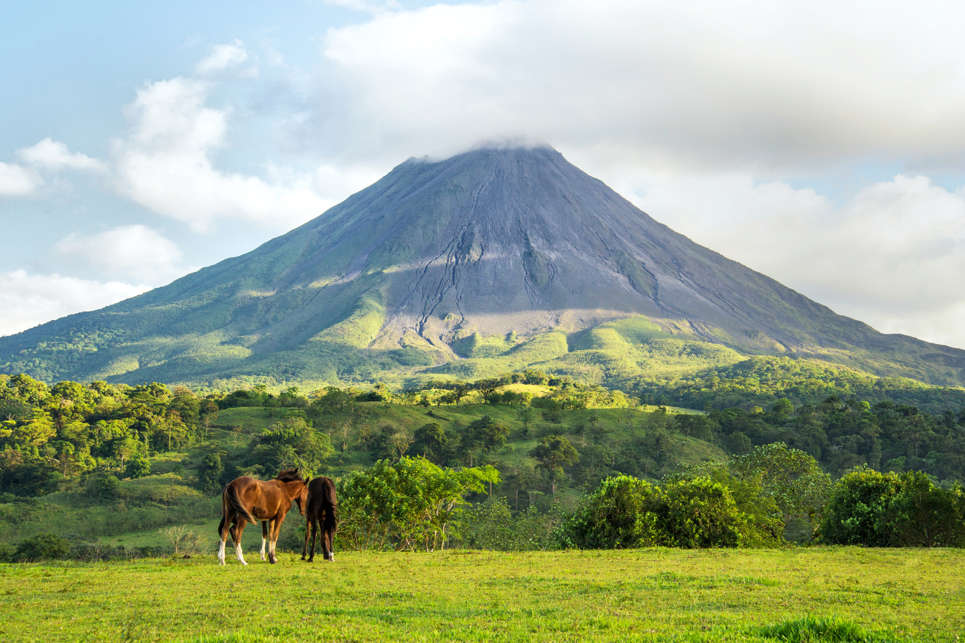 Two horses are grazing in a field in front of a volcano.