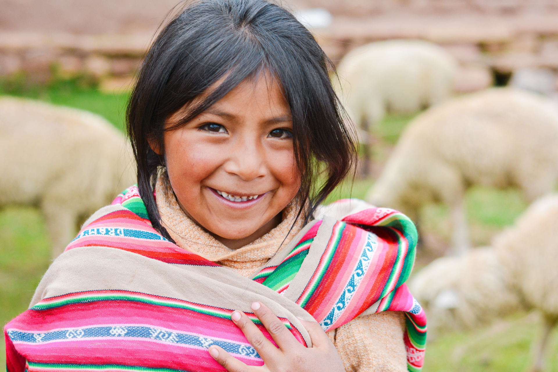 A young girl is smiling in front of a herd of sheep.