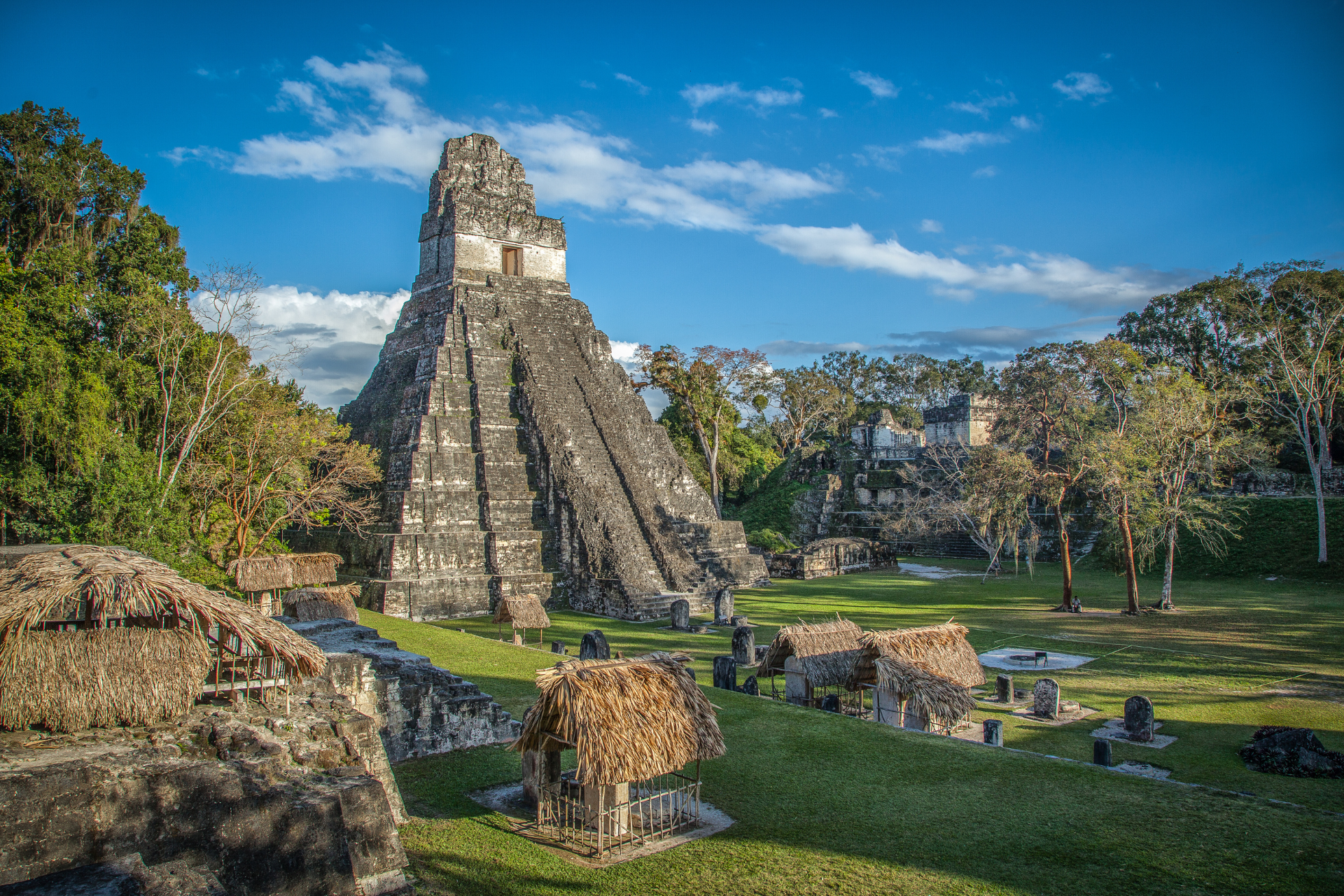 A large pyramid is surrounded by trees and grass in a park.