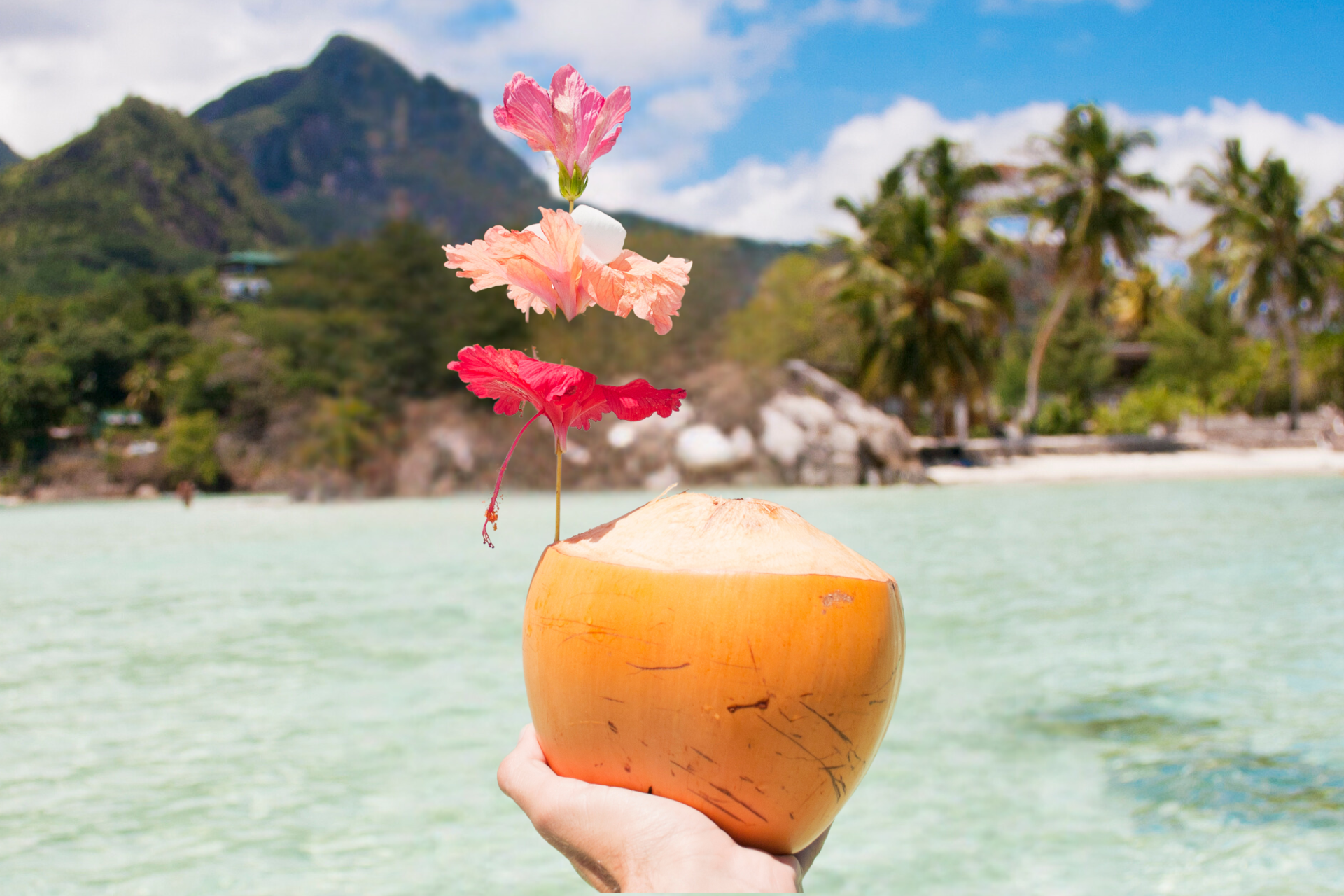 A person is holding a coconut with flowers in it in front of the ocean.