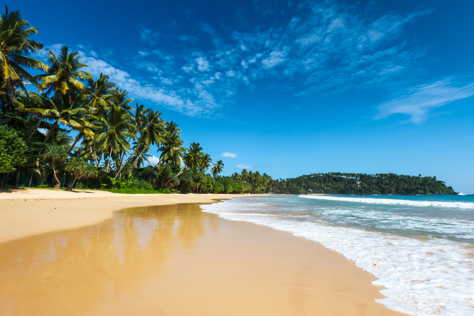 A tropical beach with palm trees and waves on a sunny day.