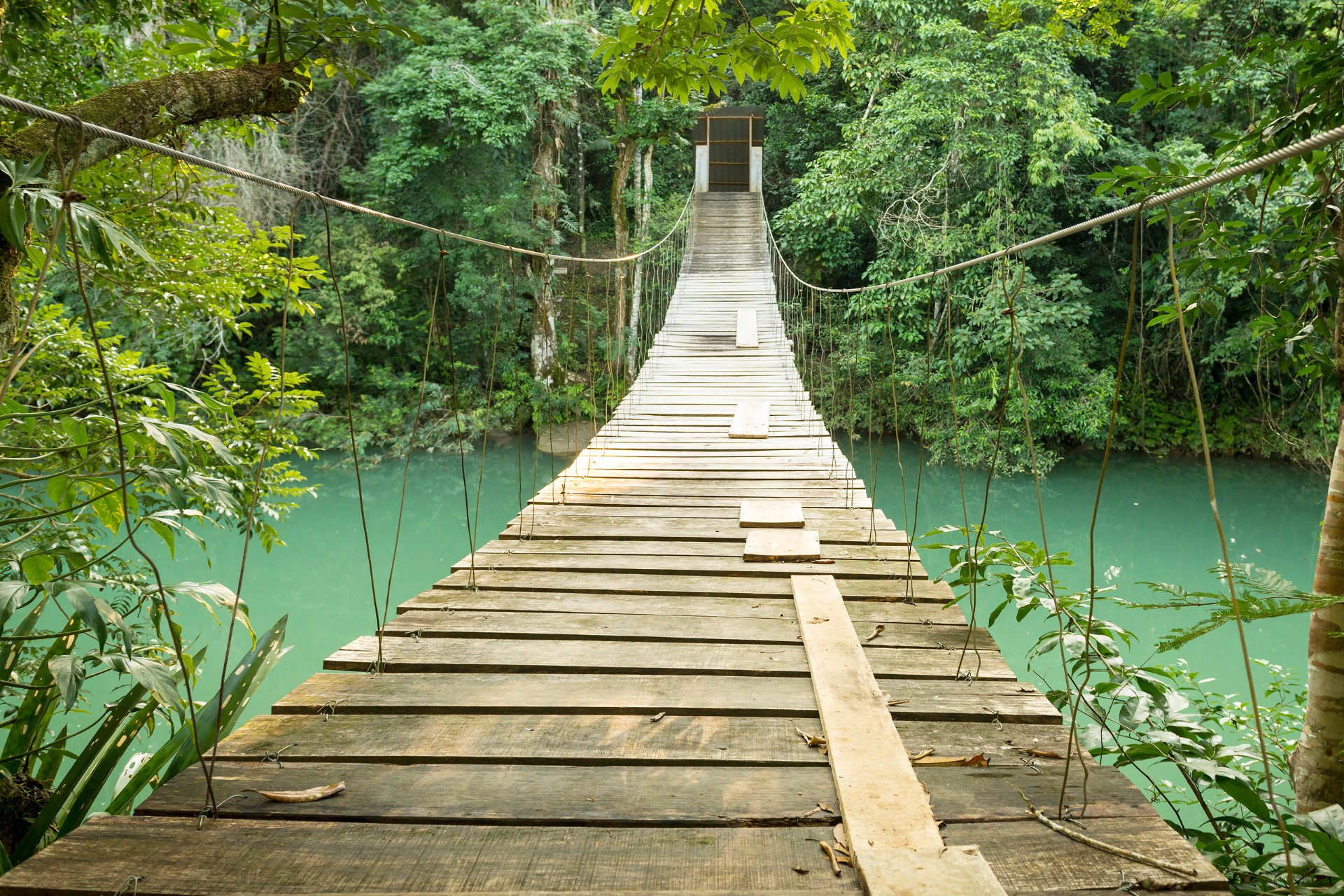 A wooden bridge over a river in the woods