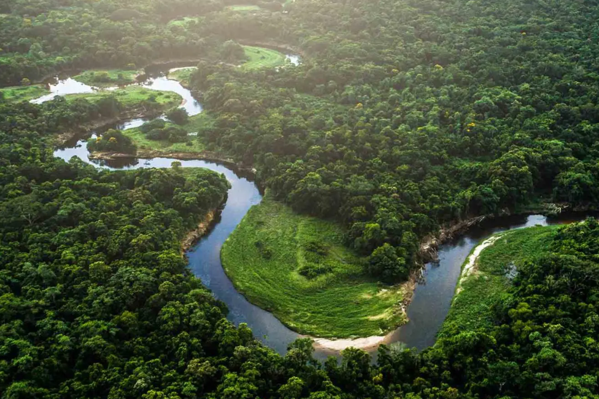 An aerial view of a river running through a lush green forest.