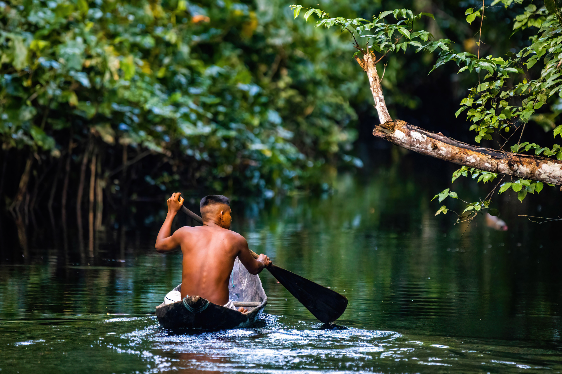 A man is paddling a canoe down a river.