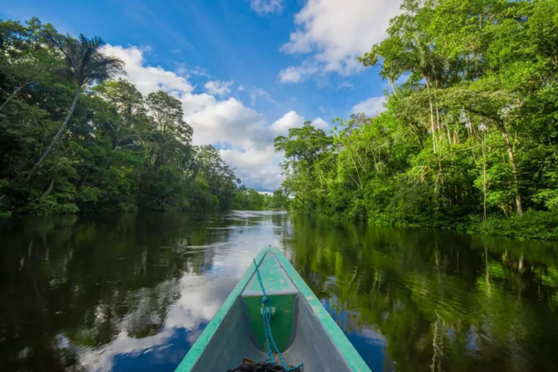 A green canoe is floating down a river surrounded by trees.