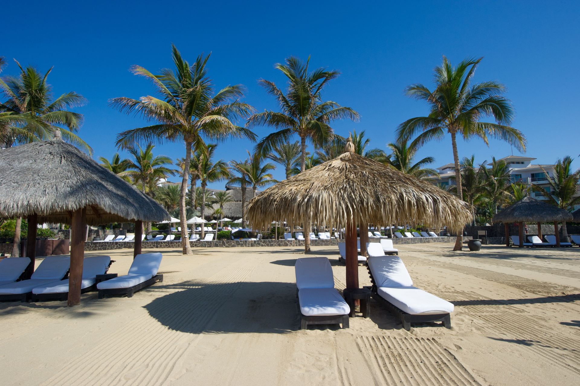 A beach with a lot of chairs and umbrellas