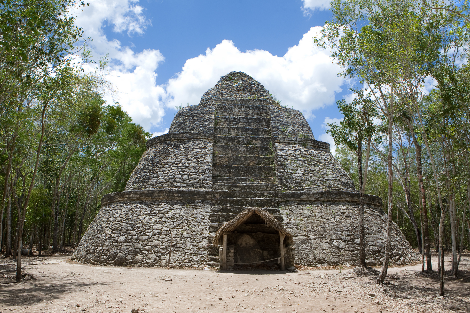 A large stone pyramid in the middle of a forest