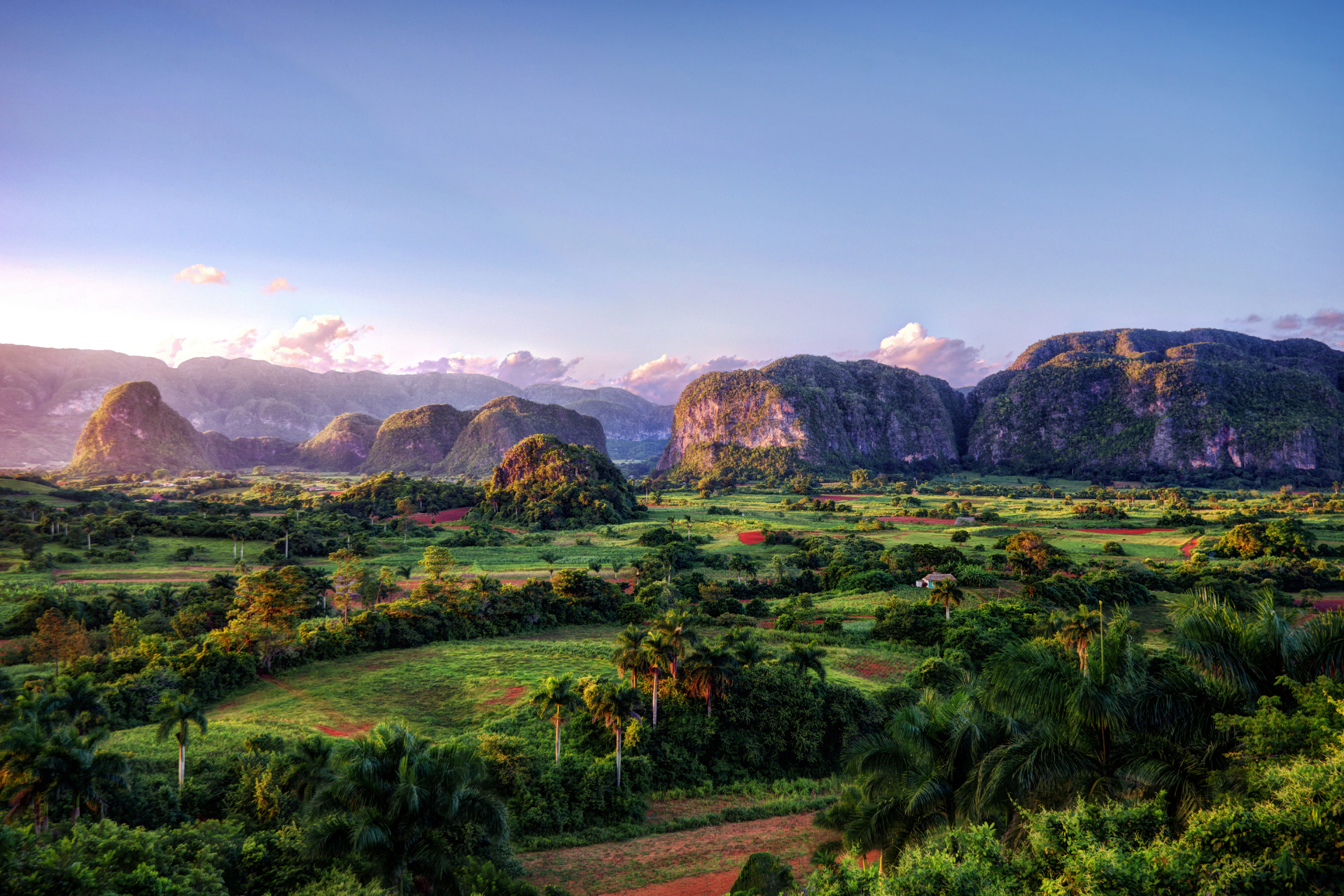 A lush green valley with mountains in the background