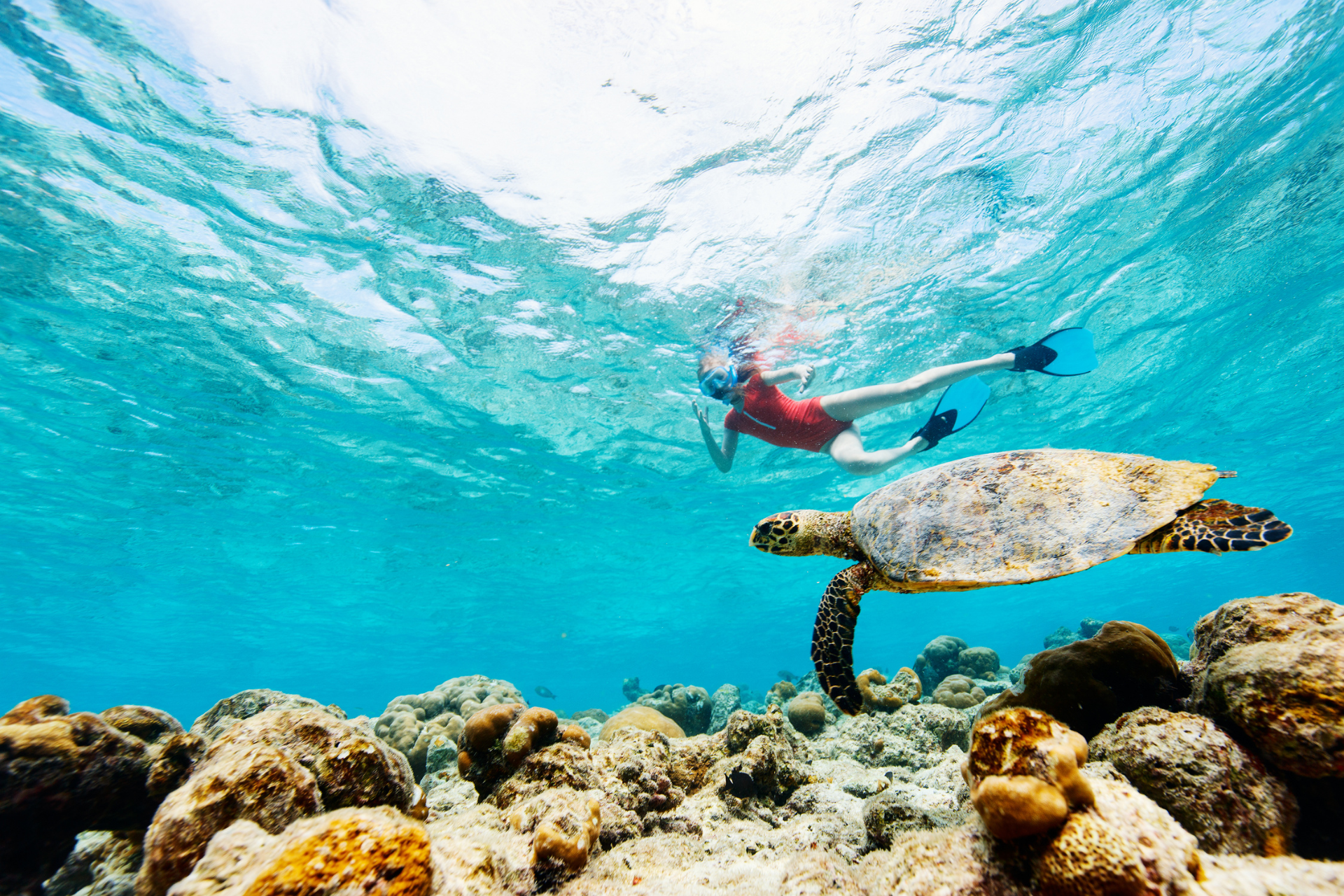 A woman is swimming with a turtle in the ocean.