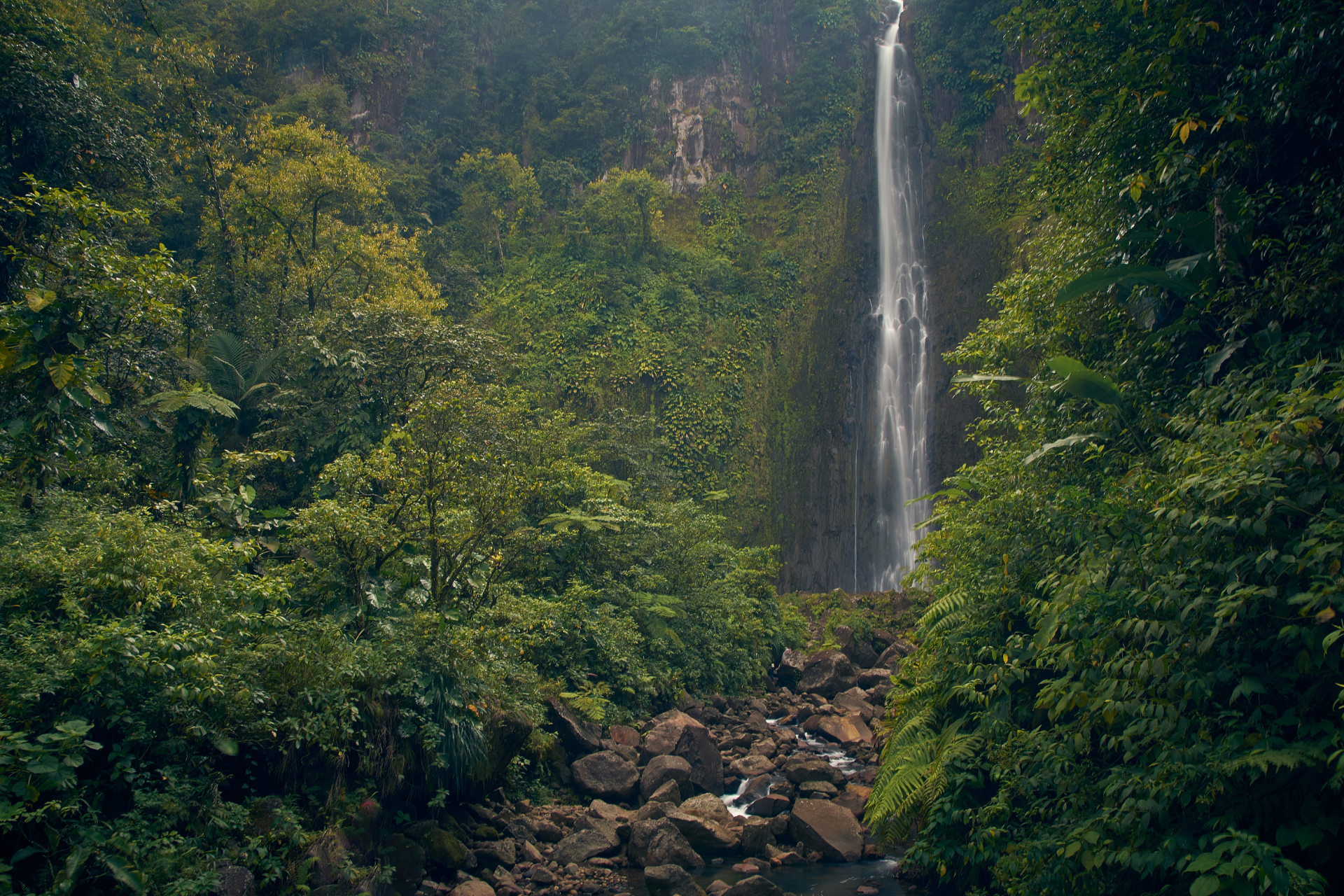 A waterfall in the middle of a forest surrounded by trees and rocks.