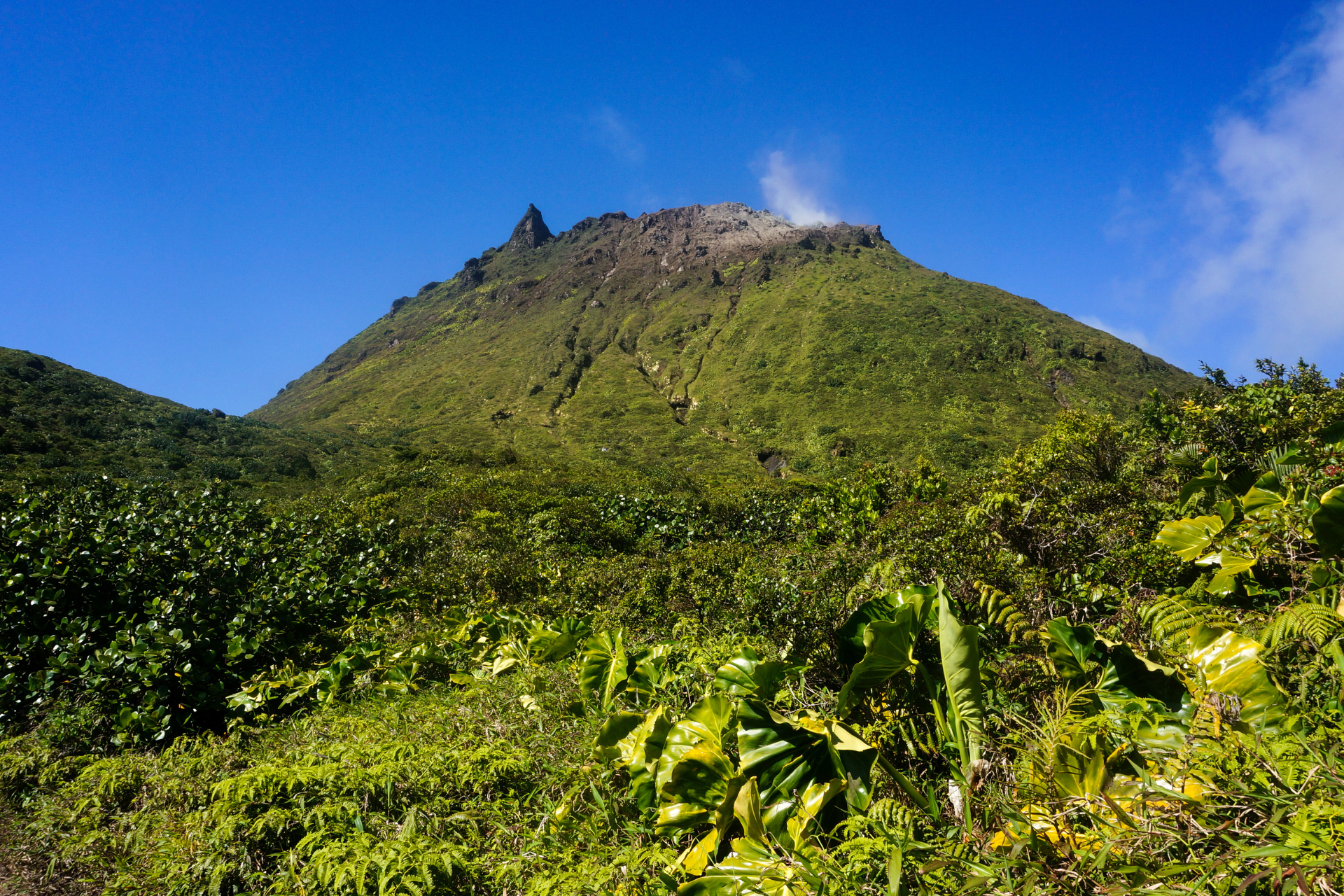 A mountain surrounded by trees and bushes with a blue sky in the background