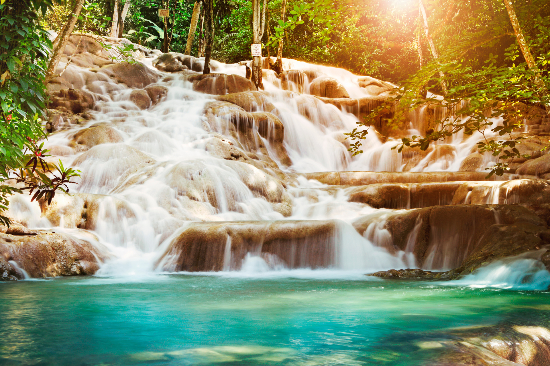 A waterfall in the middle of a forest with the sun shining through the trees.