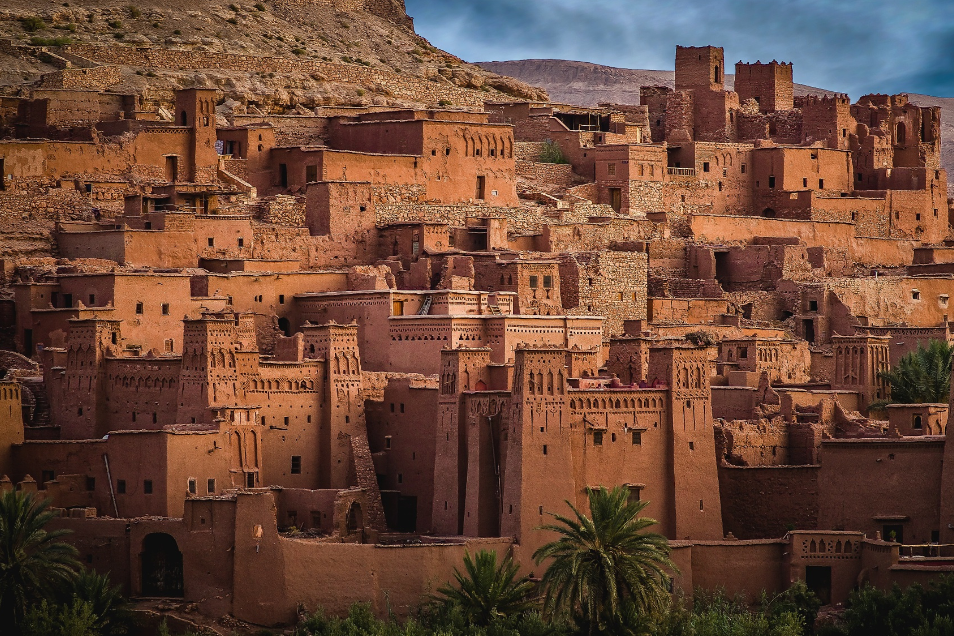 A group of buildings on a hillside with a palm tree in the foreground