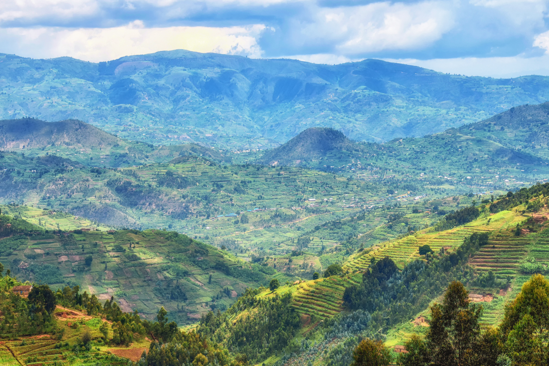 A view of a lush green valley with mountains in the background.