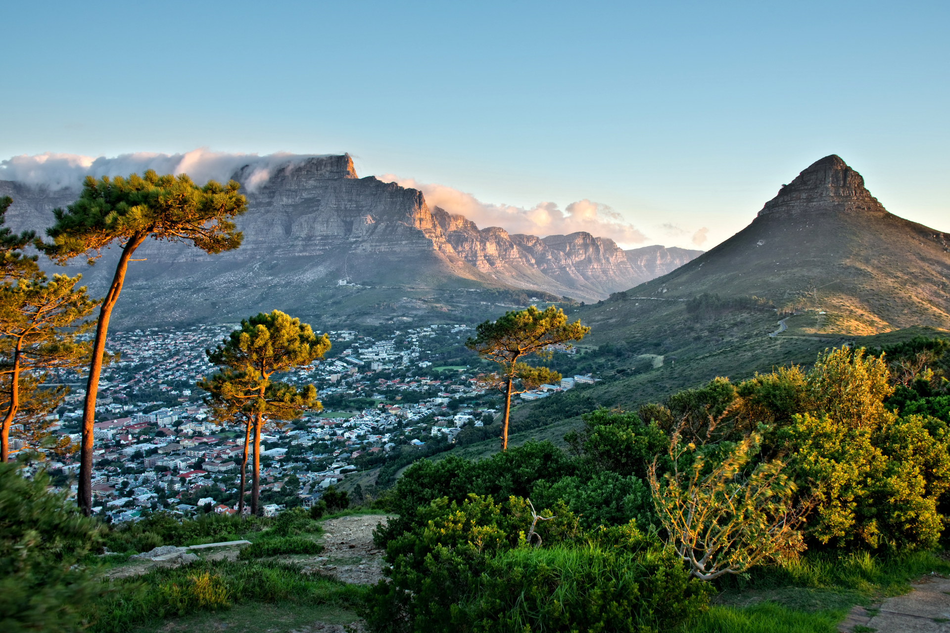 A view of a city surrounded by mountains and trees