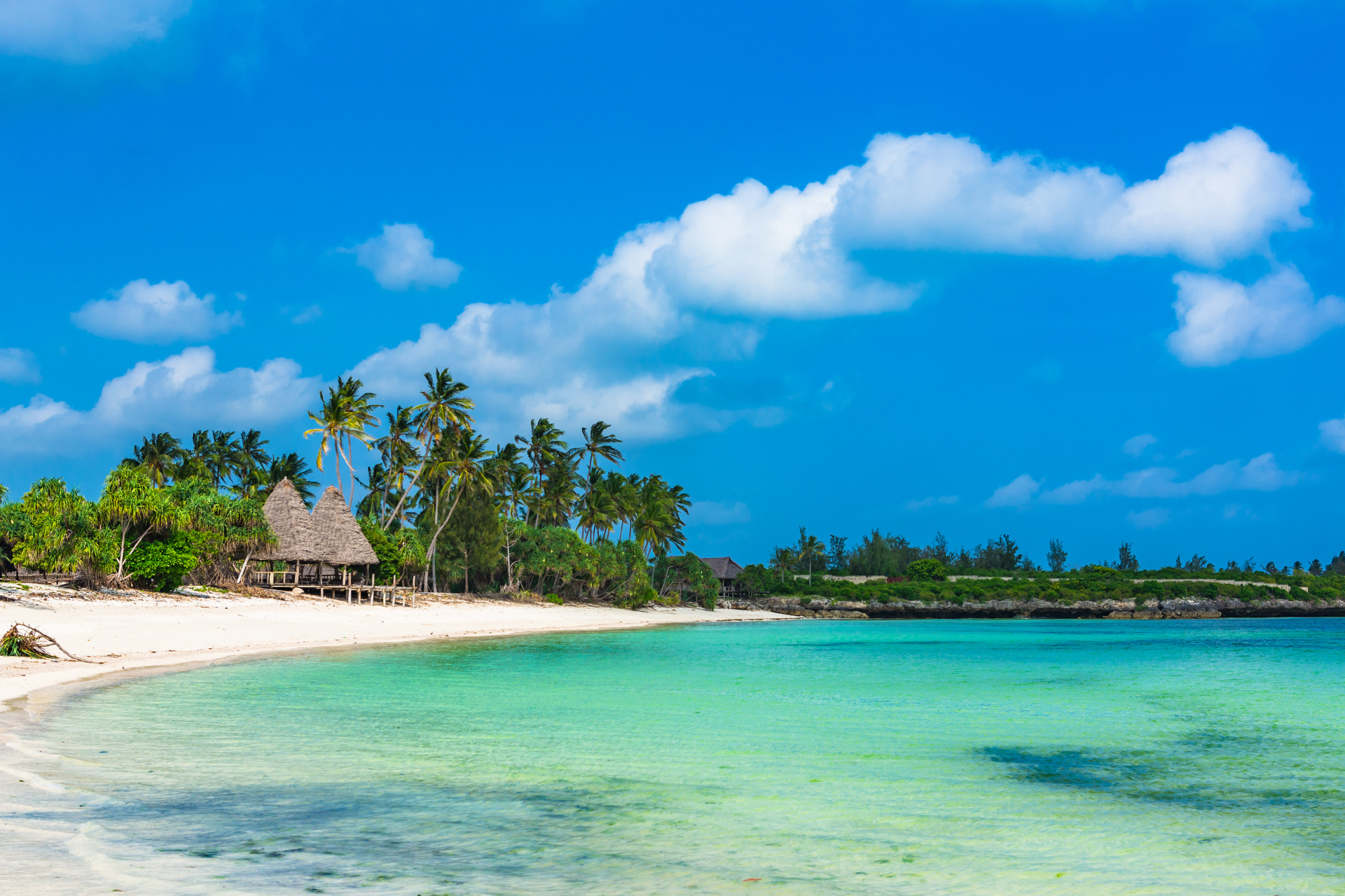 A tropical beach with palm trees and a white sandy beach.