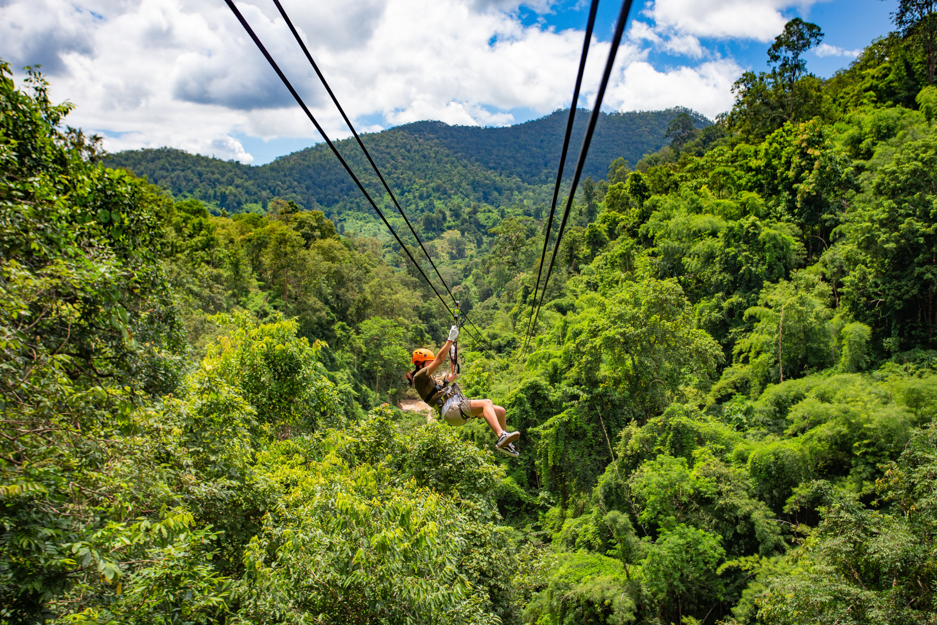 A person is riding a zip line through a lush green forest.