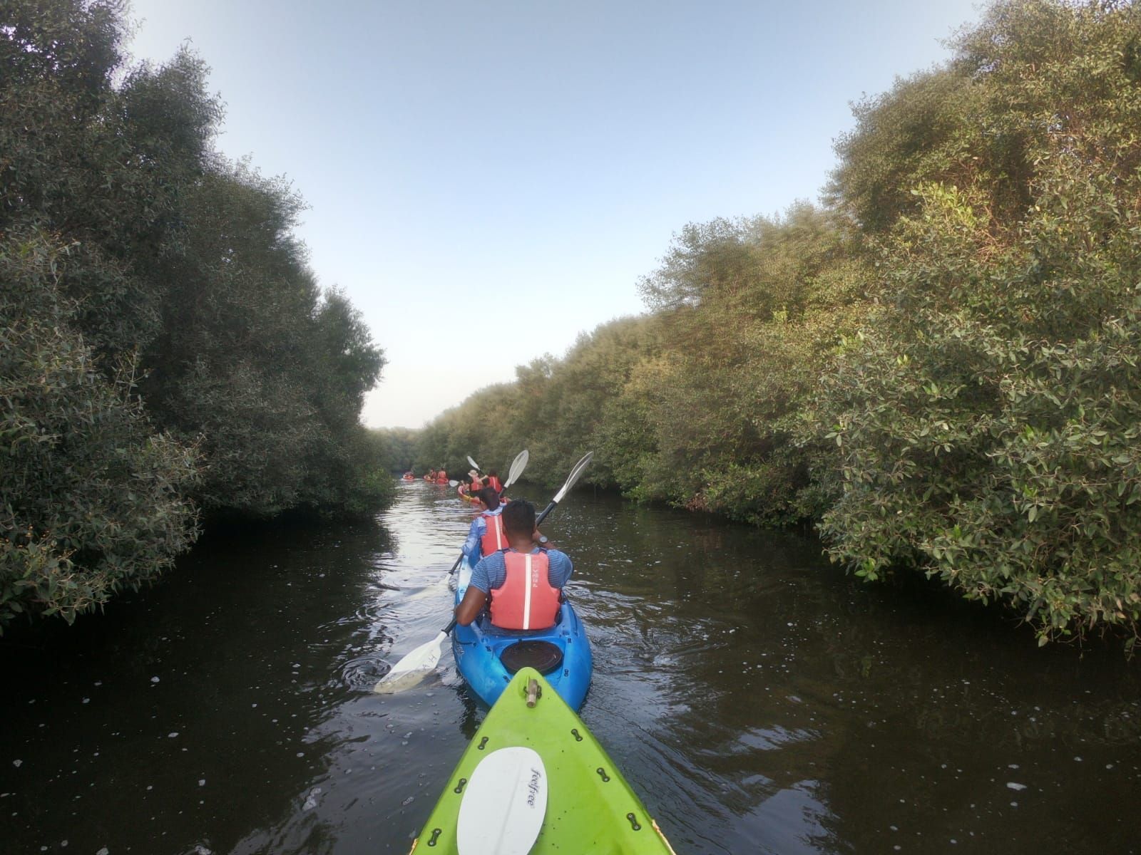 A group of people are paddling kayaks down a river