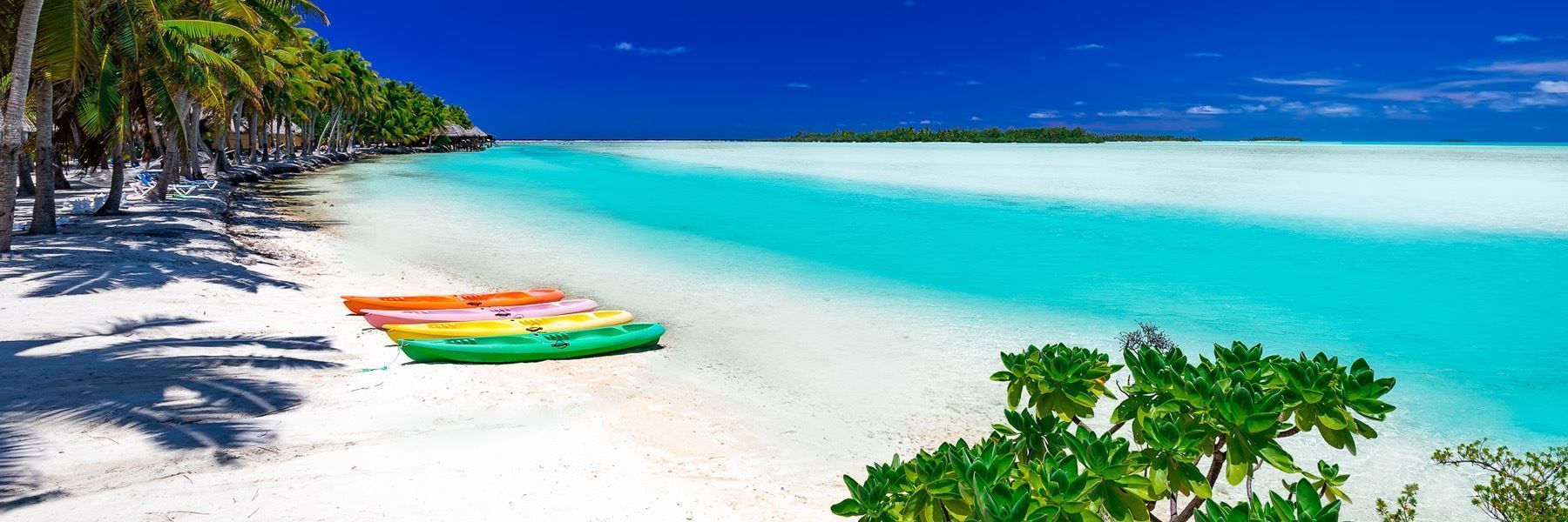 A row of kayaks are sitting on a tropical beach.