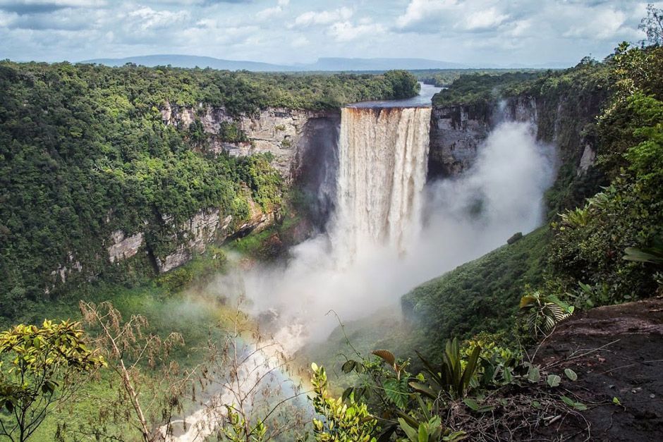 A waterfall in the middle of a lush green forest surrounded by trees.