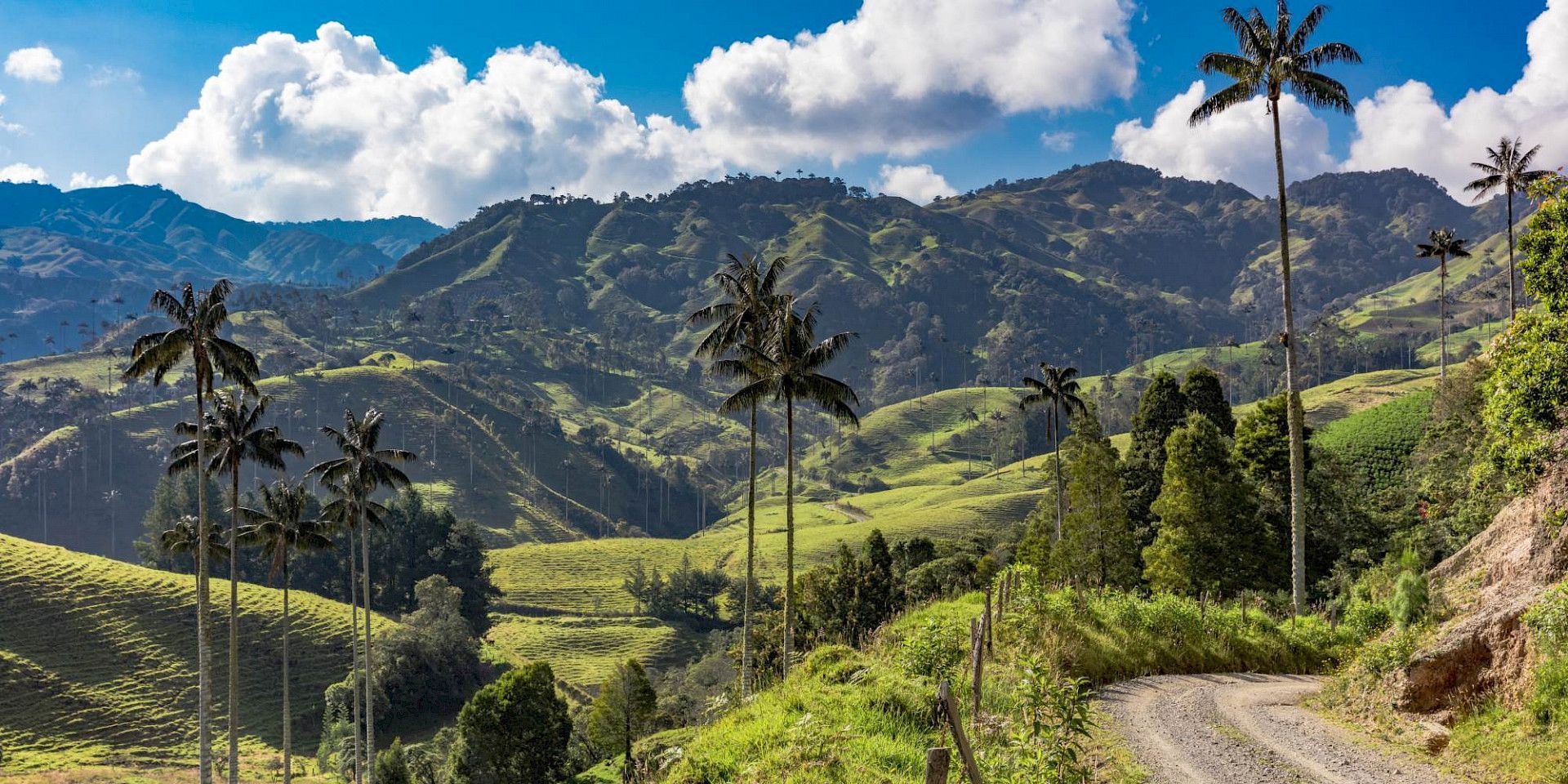 A dirt road going through a lush green valley with mountains in the background.