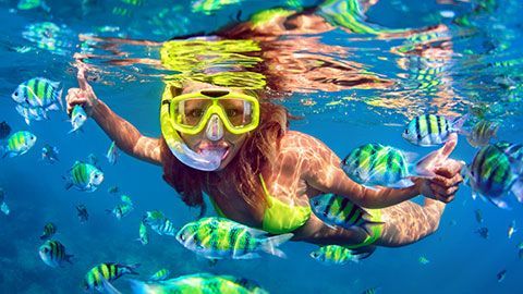 A woman is swimming in the ocean surrounded by fish.