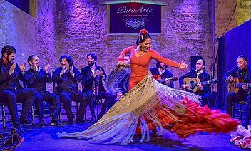 A flamenco dancer is dancing on a stage in front of a group of people.