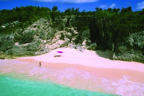 A person is standing on a pink sandy beach with a pink umbrella.