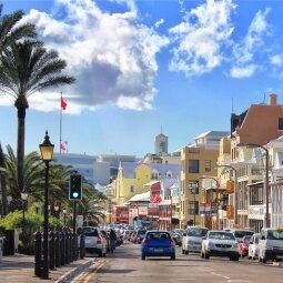 A busy street filled with cars and palm trees on a sunny day.