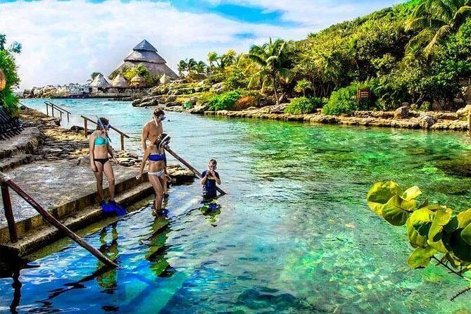 A group of people are standing in a body of water.