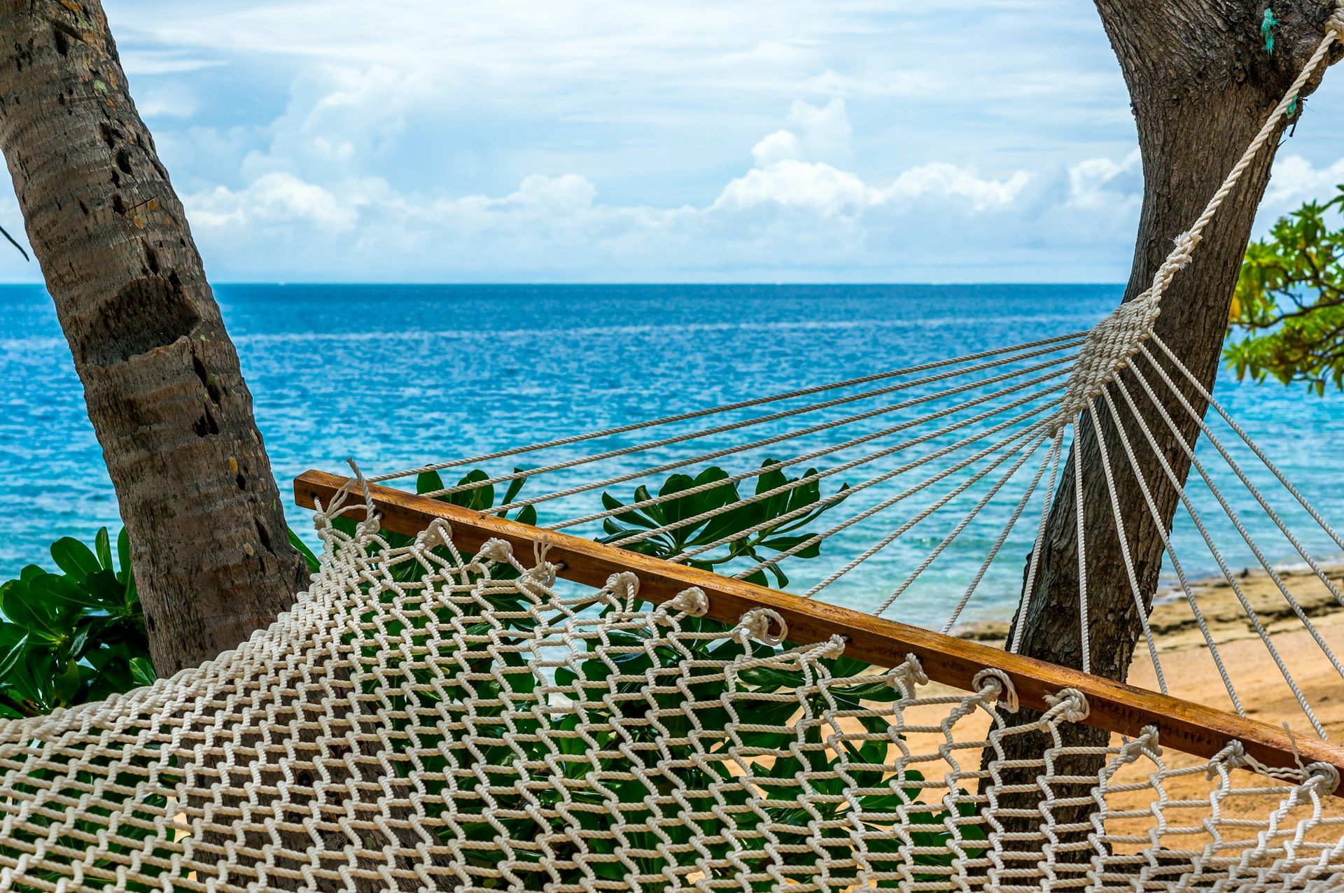 A hammock is hanging between two palm trees on a beach overlooking the ocean.