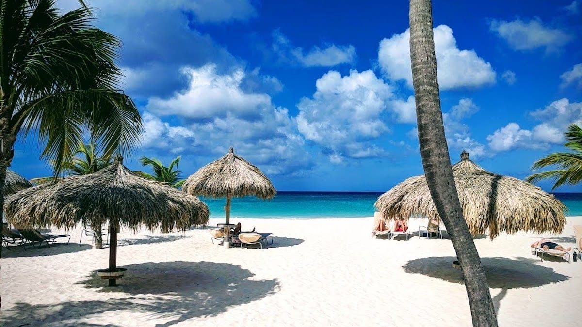 There are many umbrellas and chairs on the beach.