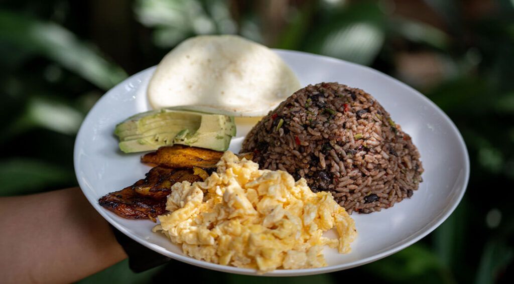 A person is holding a plate of food with rice , eggs , avocado and plantains.