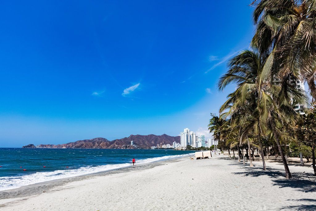 A beach with palm trees and a city in the background on a sunny day.