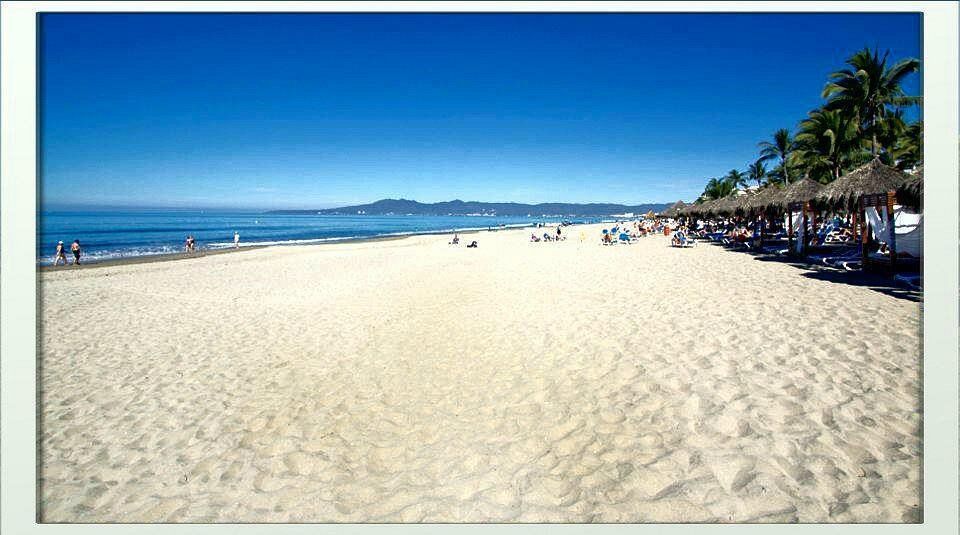 A picture of a beach with palm trees and umbrellas