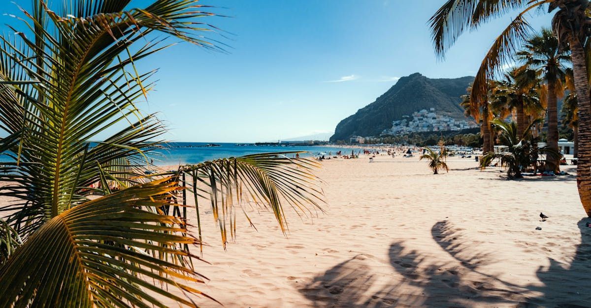 A beach with palm trees and a mountain in the background