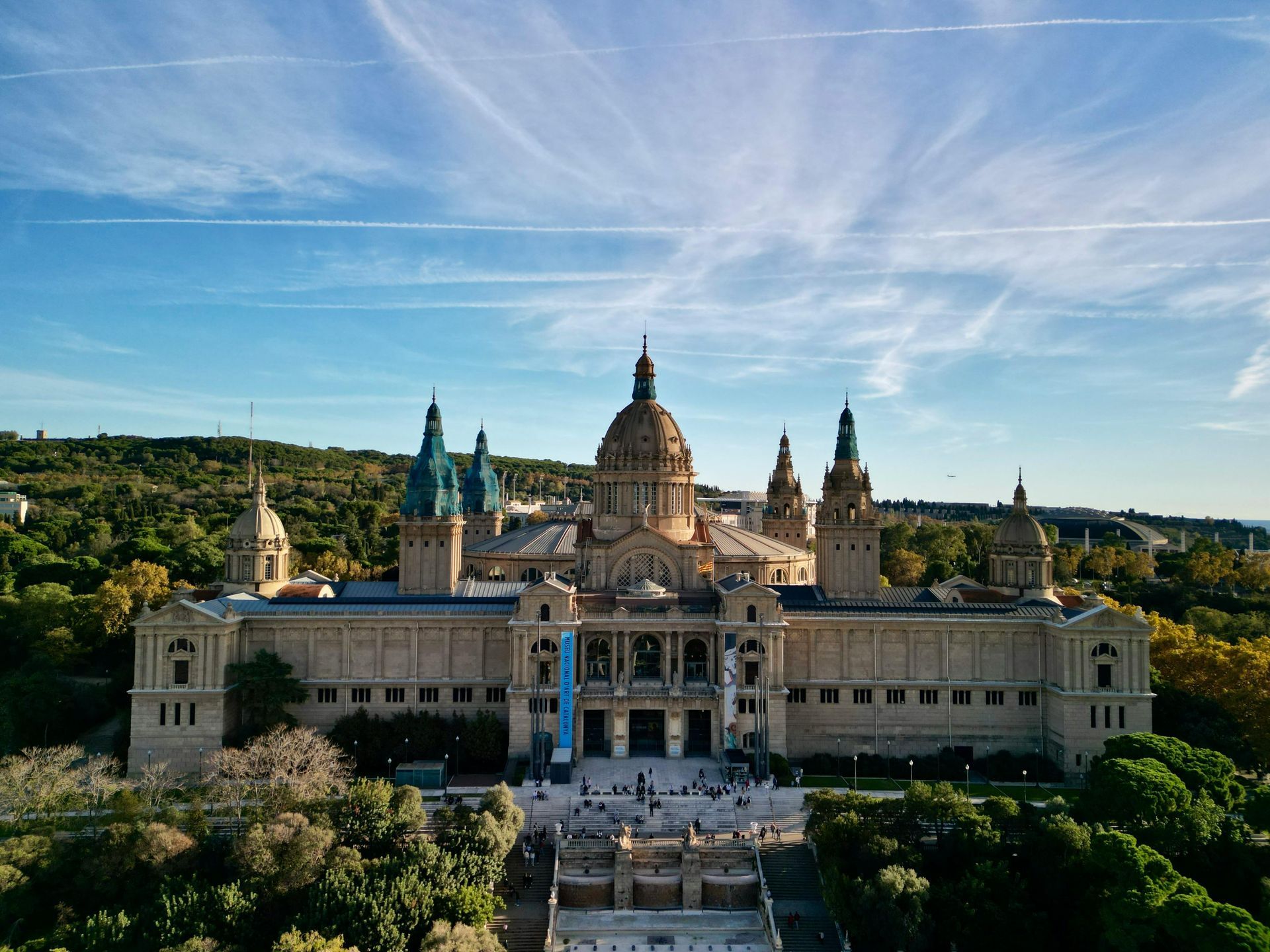 An aerial view of a large building surrounded by trees.