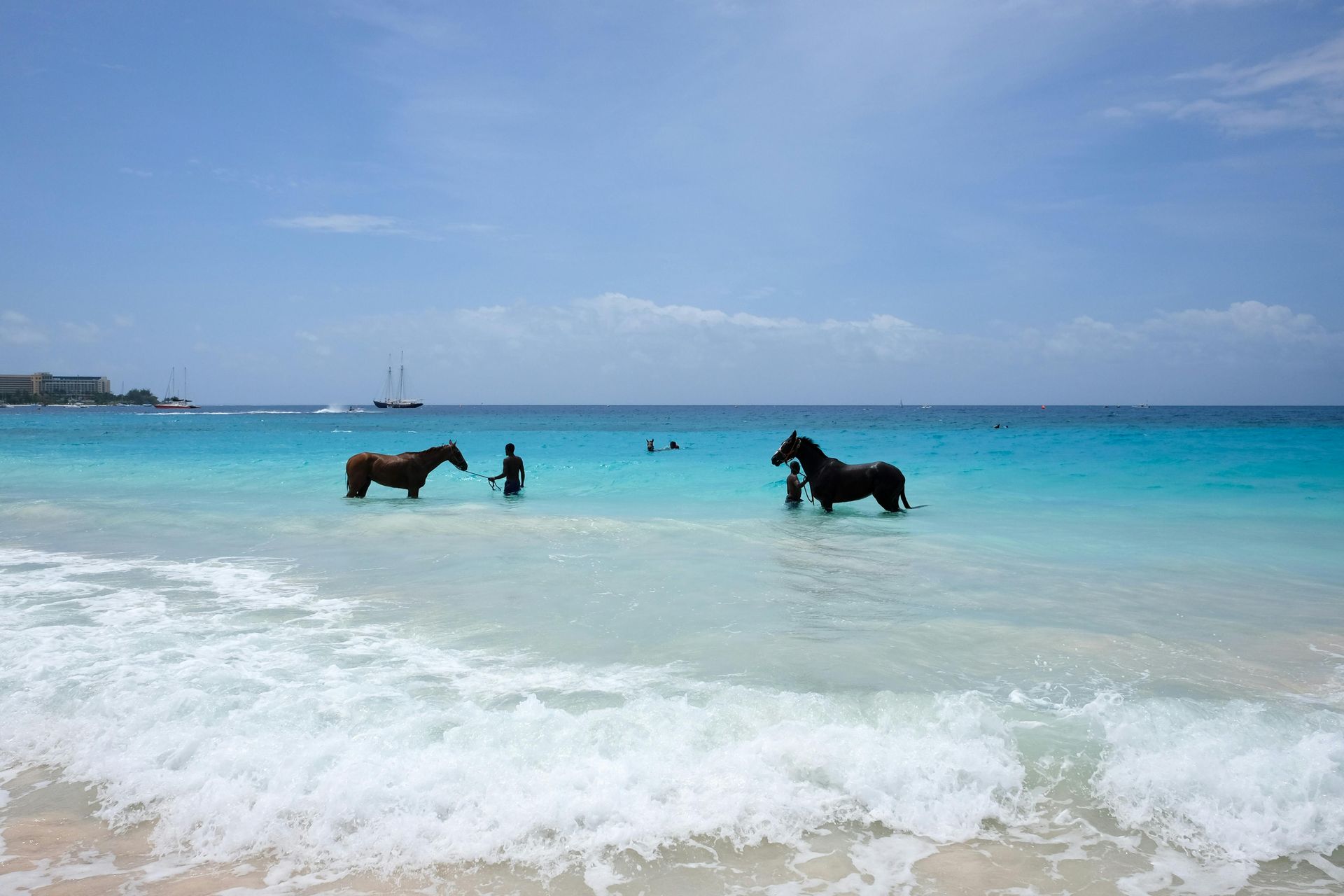 Two horses are standing in the ocean on a beach.