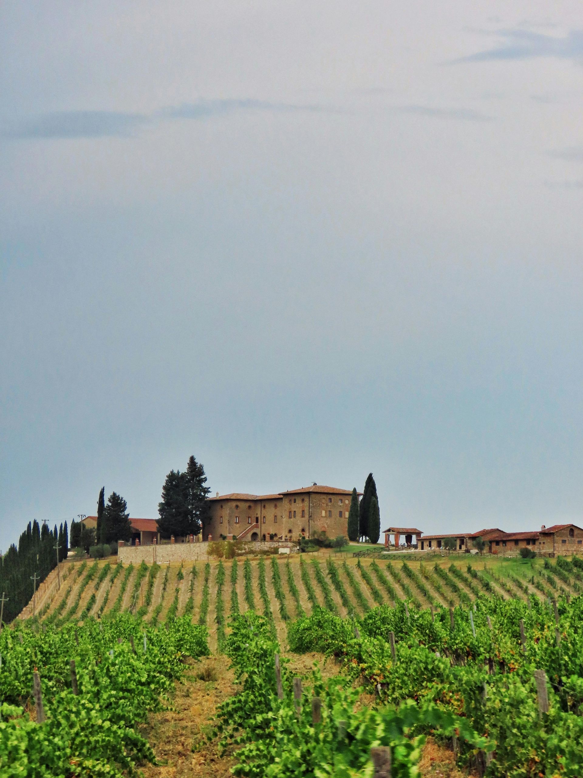 A large house sits on top of a hill overlooking a vineyard
