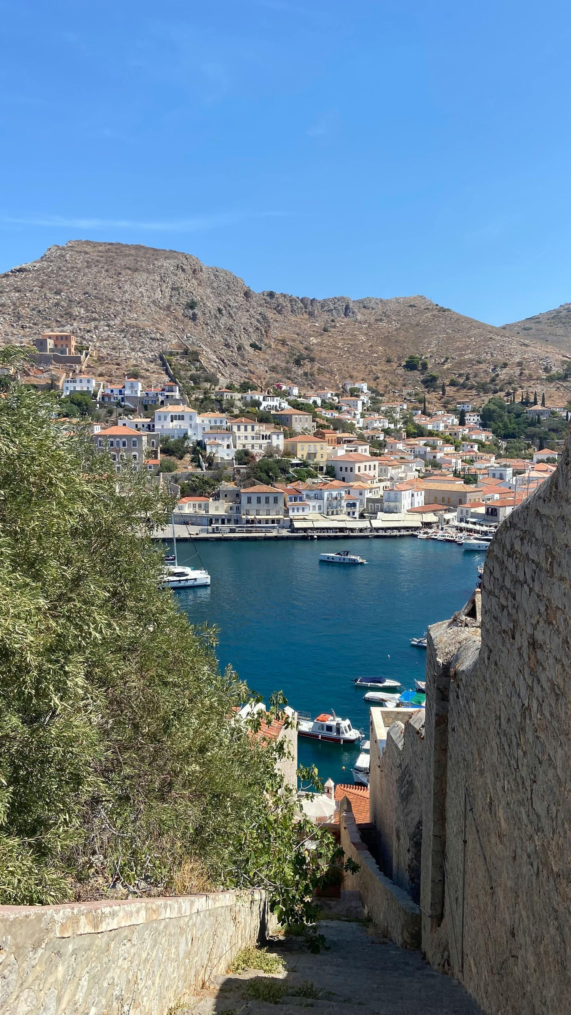 A view of a harbor with boats in it and mountains in the background.