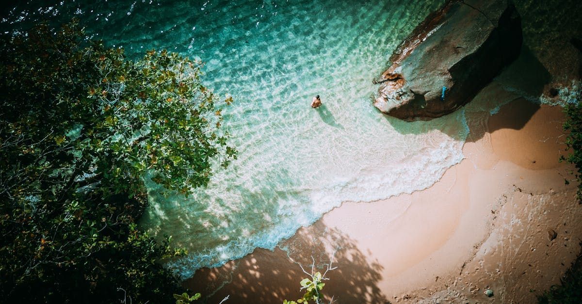 An aerial view of a person swimming in the ocean on a beach.