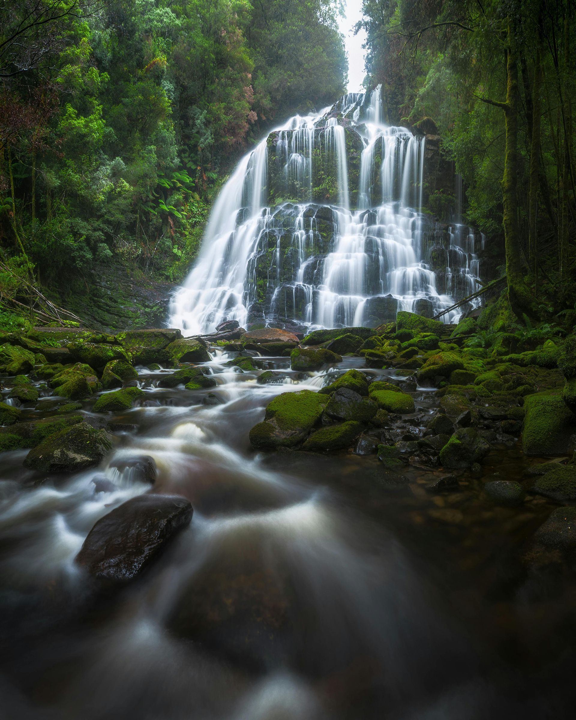 A waterfall is surrounded by trees and moss in the middle of a forest.