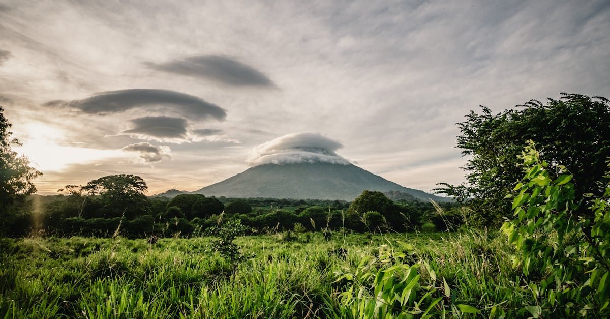 A volcano is visible in the distance behind a field of grass and trees.