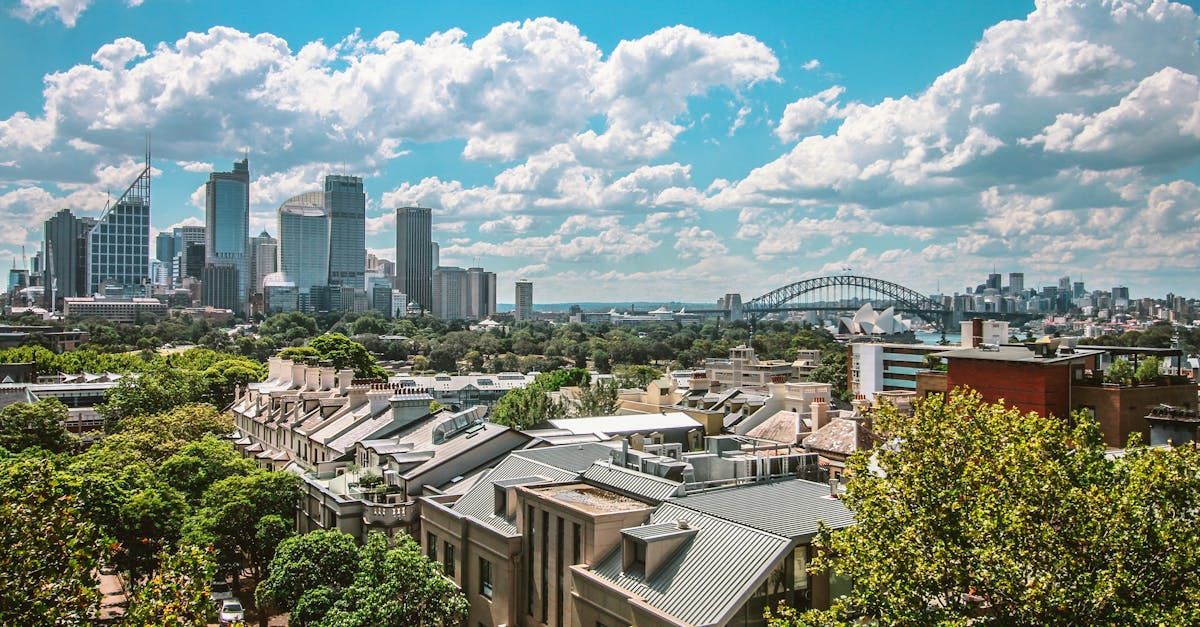 An aerial view of a city skyline with trees in the foreground.