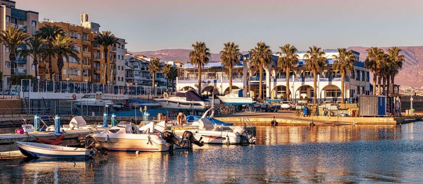 A harbor with boats docked in it and palm trees in the background.