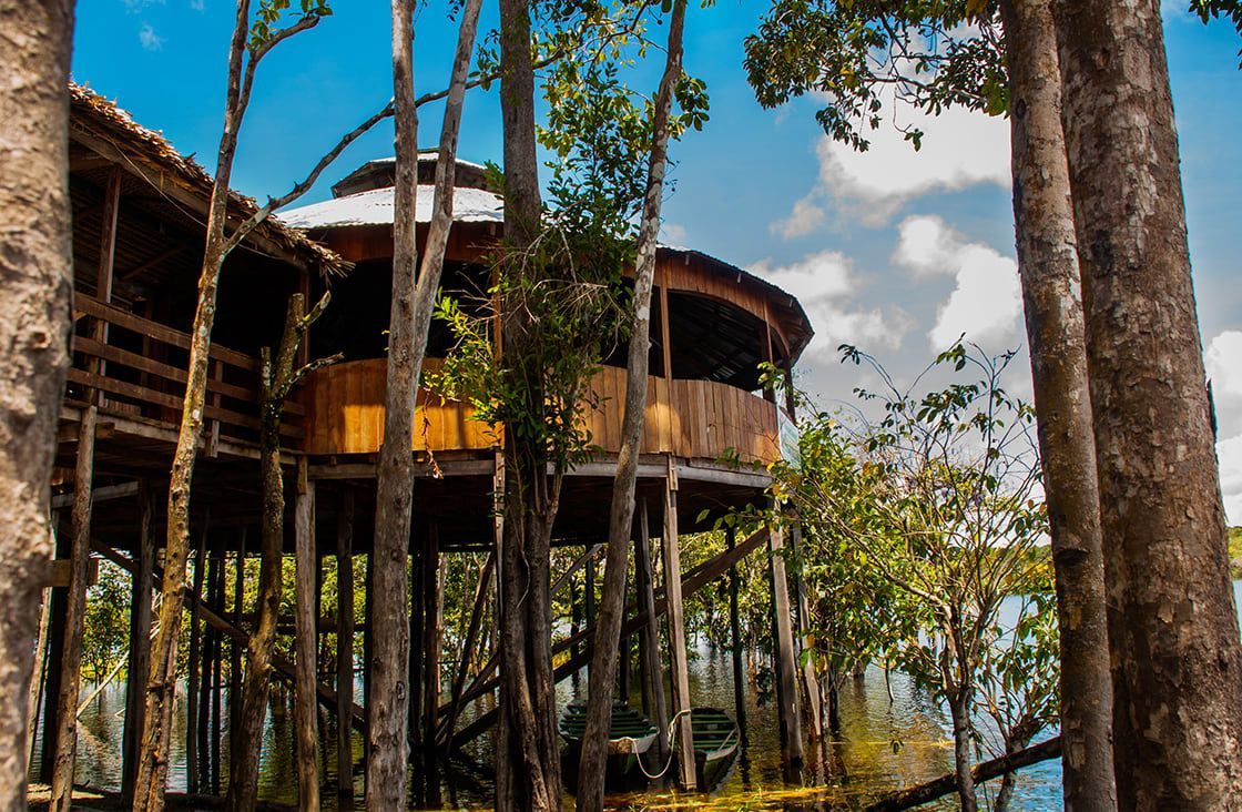 A tree house is surrounded by trees in the middle of a forest.