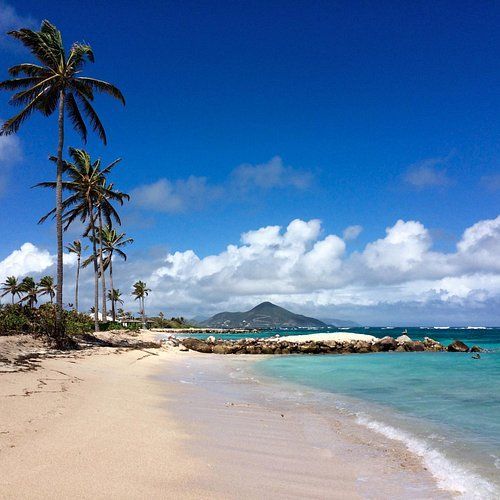 A beach with palm trees and a mountain in the background