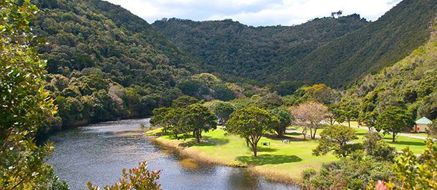 A river flowing through a lush green forest surrounded by mountains.