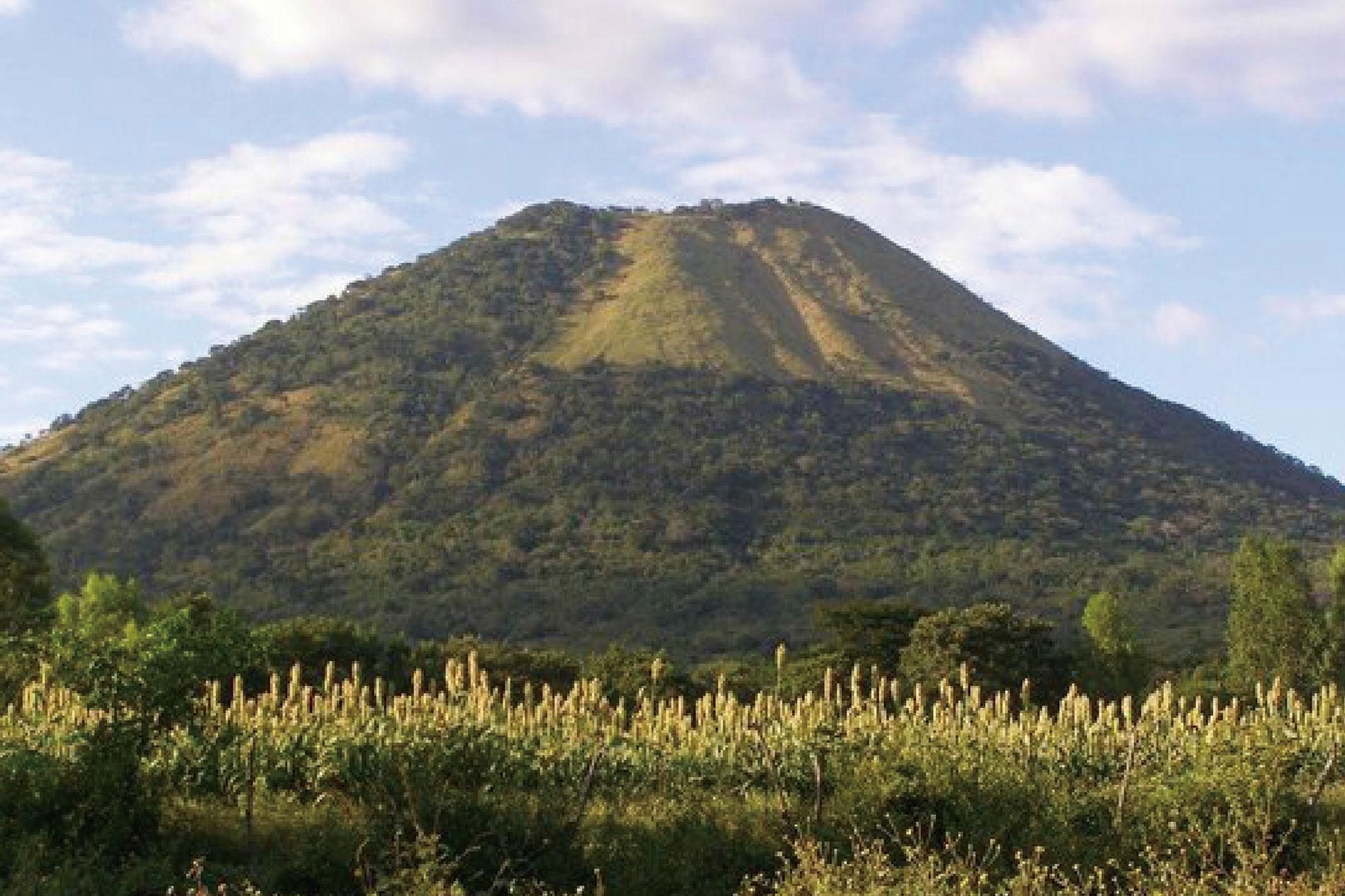 A mountain with a lot of trees on it